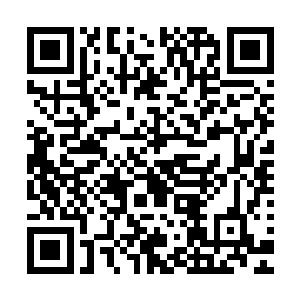 倪飞拿出一张文件……梓箐还以为是学校给自己开的辞退信呢二维码生成