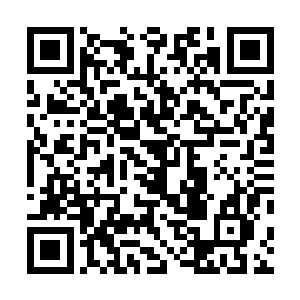 假如他不是怀疑那个蛊王确实是多次刺杀秦洛的凶手的话二维码生成