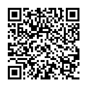 假如我告诉你……互联网本身就是一个用于矫正和引导人类二维码生成