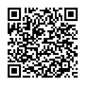 假如闻人牧月挺着个大肚子或者她带着一群小宝宝玩游戏的话二维码生成