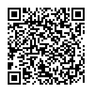 偌大个两千名工人规模的服装厂生产线厂区就交给了前交通警洪奇和一帮山民二维码生成