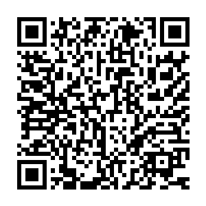 偏偏他现在已经成为了厄尔奇达预言的那个可以拯救所有斯拉夫人二维码生成