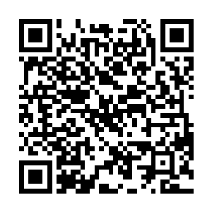 偏偏大家的目光都被穷乡僻壤里待着的芸公主吸引了去二维码生成