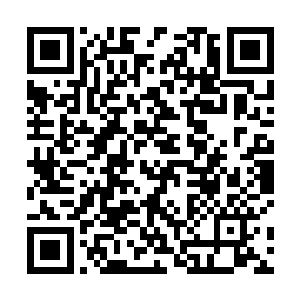偏偏开会这件事情对于很多势力来说是必不可少的环节二维码生成