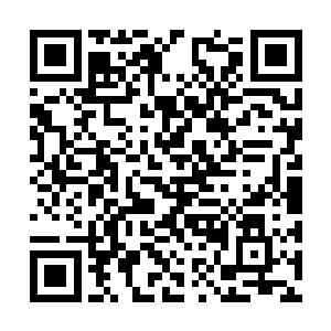 偏偏眼中却看到一个背对着他面朝无尽林海的身影二维码生成