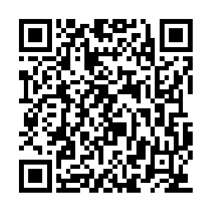 偏偏这时虎一带回了一个让刘萱头痛万分的消息二维码生成