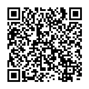 偏偏那小白虎在听到她这样说之后还用胖乎乎的虎脸往她手背上蹭了几下二维码生成