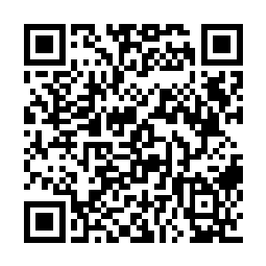 偏将眼看着自己的佩剑就要将孙子轩给砍成两半二维码生成