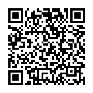 做为有史记载以来最年轻便能看到那道门槛的修道者二维码生成