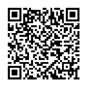 做出刚才那样一连串的攻击之后必然会陷入力竭二维码生成