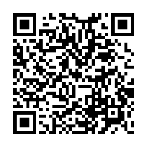 做出攻击的法界宗掌门此刻的眼神也是一下变了二维码生成