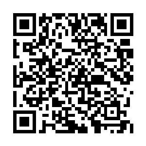 偶尔也会觉得这种热血上头的做法其实有点蠢萌二维码生成