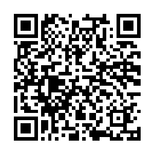 偶尔他们会看见山中深处一到做饭时间就飘起炊烟二维码生成