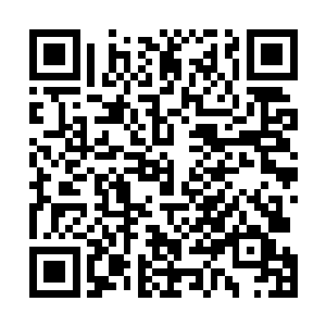 偶尔几次挑衅的阴谋都被叶子清这些人强有力得打回去了二维码生成