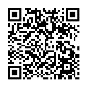 偶尔去领略一下山中的自然气息也是相当不错的二维码生成