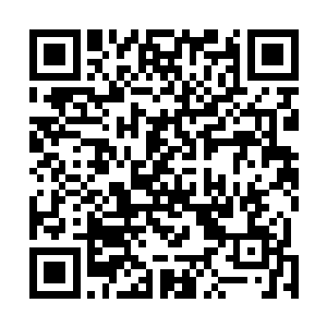 偶尔古怪的侧踢或是看来很没威力的华夏式踢腿表演出来二维码生成