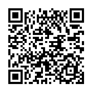 偶尔可见一些零星的狼尸――却没有一具是完整的二维码生成