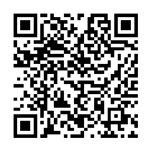 偶尔在街上碰到一些奇奇怪怪的小吃散发着诱人的香气二维码生成