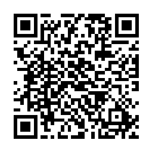 偶然得知五十五万的资金都被庞金华村长给全部取走了二维码生成