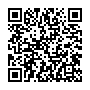 偶然间得到了来自多元宇宙海深处的求援信而已二维码生成