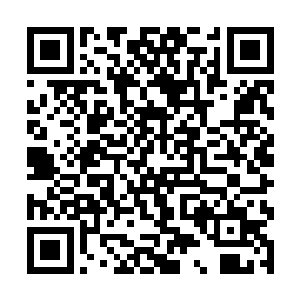 傀儡王将他激活高欢的所有监控视频和数据统统粉碎二维码生成