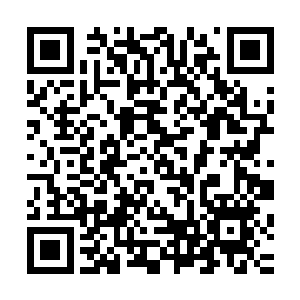 傲翅虎的开天九杀剑还有南凝江的金鹰爪已同时打在梼杌体内二维码生成