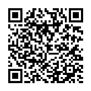 像你们这样可以说是具有相当实力和底蕴的古武世家二维码生成