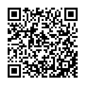像你这样的王公贵族捏死我这样的小民就像是捏死一只蚂蚁二维码生成