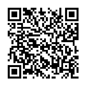 像唐菲菲那样的美女也是颇有些鹤立鸡群的感觉的二维码生成