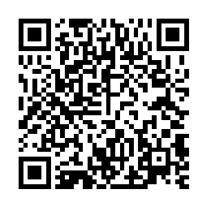 像宋濂想象的那种利用乌神丹大肆猎杀异己几乎没有什么可能的二维码生成