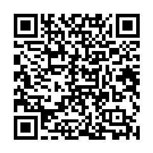 像是一个无形的大手稳稳的镇压住他逐渐崩溃的肉身二维码生成