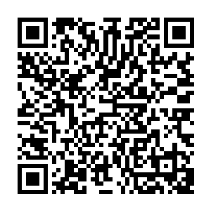 像是一只可怜的免妈妈正在祈求秦洛这只大灰狼把她的兔宝宝还给它一样二维码生成