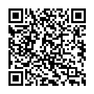 像是有什么东西正快速的朝着我们这边跑来一样二维码生成