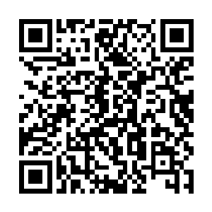 像是没头苍蝇一样的瞎走一气……完全是胡乱瞎窜的二维码生成