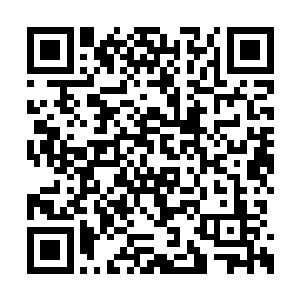 像是爱美而优雅的贵族懒散得用手遮挡日光一样二维码生成