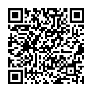 像是蛊虫之类的往往都喜欢生活在阴暗潮湿的地方二维码生成