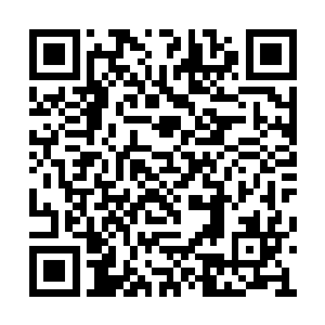 像是要从叶尊的脸上看一下他这话到底是真是假二维码生成