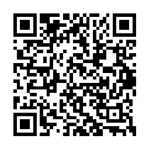 像是要把她的每一个细节都认真地刻入脑海一般二维码生成