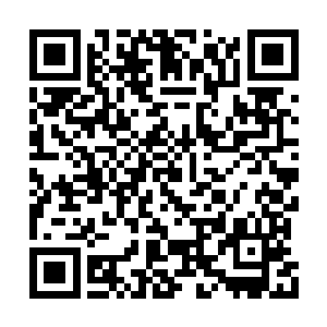 像林烽这种一看就是没有背景学习不好的穷学生二维码生成