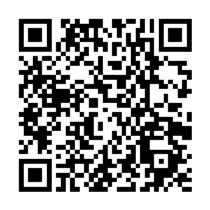 像白公子婉儿秀儿那样的超级肥羊可是可遇而不可求的二维码生成