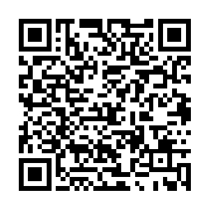 像蛇一样轻轻地插入了距离最近的那架机甲的大腿二维码生成