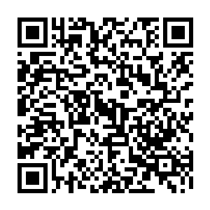 僵着身子连动弹一下都觉得脚软的它还没来得及闭上眼睛就看见破风而来的箭矢二维码生成