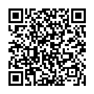 儿子还是乖乖的当不学无术的那种的笨小孩子比较好二维码生成