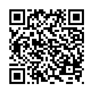 元始文明的专家学者和顶尖强者们二维码生成