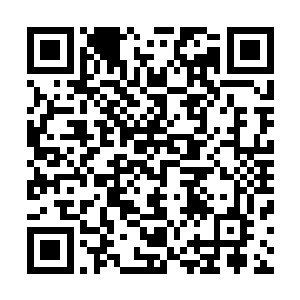 元始族已经探索了这片宇宙海中主要几百处灵气充裕的星域二维码生成