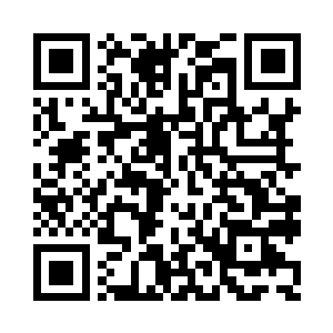 元瞋把一个散发着幽蓝光芒的灵念球取出二维码生成