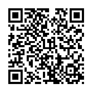 元瞋深知吴岩身上那件秘宝对夺占龙宫的重要性二维码生成