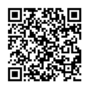 元素之力和进化之力对于生物的改变都是较为漫长的二维码生成