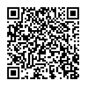 元罡神皇龙皇大长老都将满腔仇恨转移到了天魔和东皇天龙一族身上二维码生成