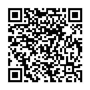 元门弟子可以通过完成一些任务来得到相应的奖励二维码生成